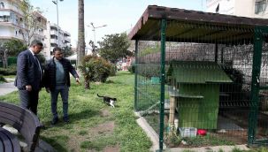 Can dostları 'ev'lendirecek proje: KediYaka 