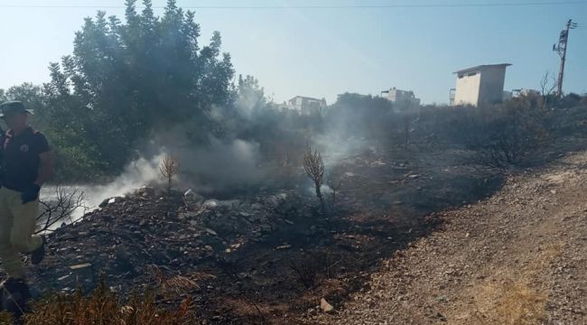 Çeşme'deki iki yangın kısa sürede söndürüldü