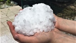 Ceviz büyüklüğünde dolu mahsule zarar verdi