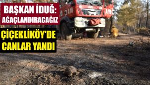 Çiçekliköy'de canlar yandı