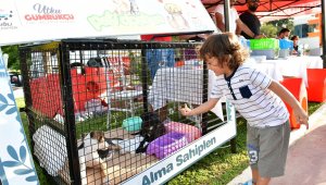 Çiğli Pati Dostları Festivali ilgi çekti
