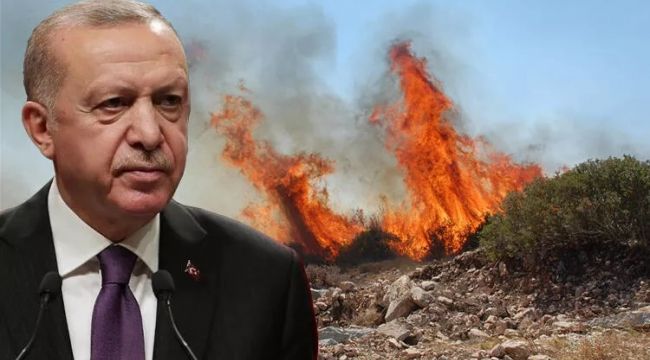 Cumhurbaşkanı Erdoğan'dan yangınlarla ilgili açıklama