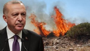 Cumhurbaşkanı Erdoğan'dan yangınlarla ilgili açıklama
