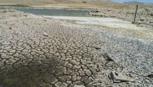 Dehşete düşüren kuraklık manzarası