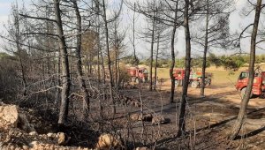 Denizli'de 1 günde 2. orman yangını