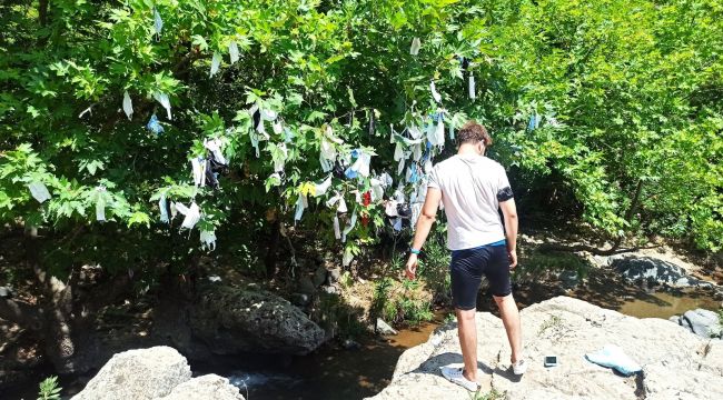 Dilek ağacı 'maske ağacı'na döndü