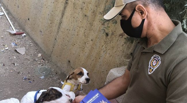 Dilsiz dostlara eziyete 123 bin 470 lira para cezası