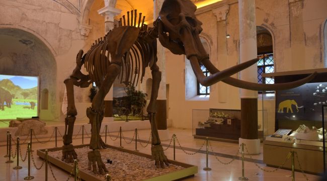 Doğa Tarih Müzesi, zaman tüneli gibi 