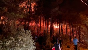 Fethiye'de de orman yangını başladı