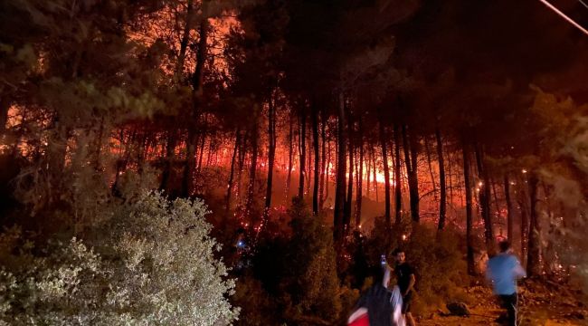 Fethiye'de de orman yangını başladı