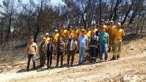 Foça'da yanan 73 hektarlık ormanlık alan yeniden yeşilendirilecek