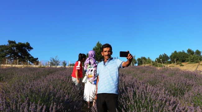 Fotoğraf tutkunlarından lavanta tarlasına akın..