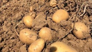  Haziran'ın zam şampiyonları