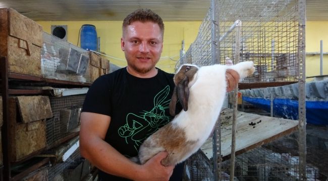 İnsan yetiştirmeyi bıraktı tavşan çiftliği kurdu