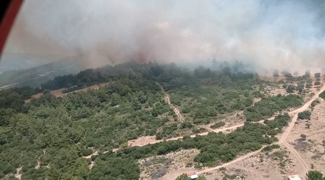 İzmir'de makilik alanda çıkan orman yangını kontrol altında