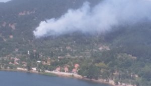 İzmir'de orman yangını