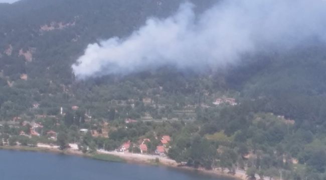İzmir'de orman yangını