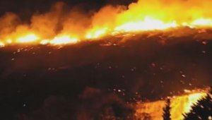 İzmir'de otluk alanda çıkan yangın kontrol altında