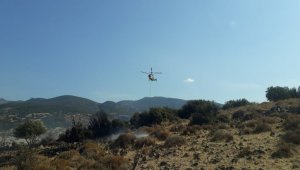 İzmir'de yangın: Havadan ve karadan müdahale var