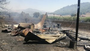 İzmir'deki yangında korku dolu anlar