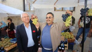 İzmirliler Kavacık Üzüm Festivali'nde buluşacak