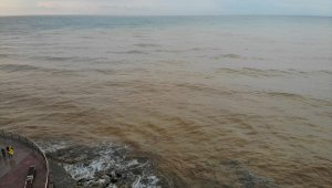 Karadeniz'in denizin rengi değişti