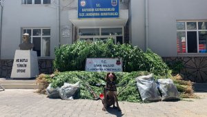 Karakolun önü uyuşturucuyla doldu