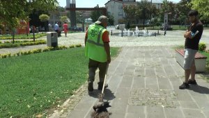 Karga ile insanın dostluğu