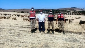 Kayıp çoban ve sürüsü drone ile 5 saatte bulundu