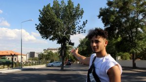 Kesmeye kıyamadıkları ağaç yol ortasında kaldı