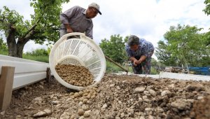 Kilogramı 750 TL'yi bulan salep Buca'da üretilecek