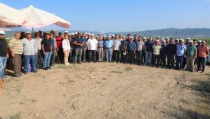 Kınık domatesi marka oluyor