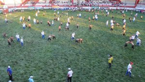 Kırkpınar Yağlı Güreşleri'nin ilk gününde rekor kırıldı