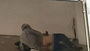 Köpeğe tecavüz ederken yakalandı, serbest kaldı