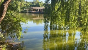 Küçük saklı cennet 'İnli Balıklı Gölü'