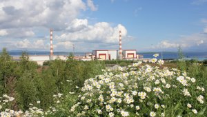 Küresel sorunların çözümünde doğru adres nükleer enerji