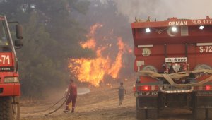 Manavgat orman yangınında alevler metrelerce yükseliyor