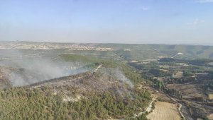 Manisa'da orman yangınında 15 hektar zarar gördü