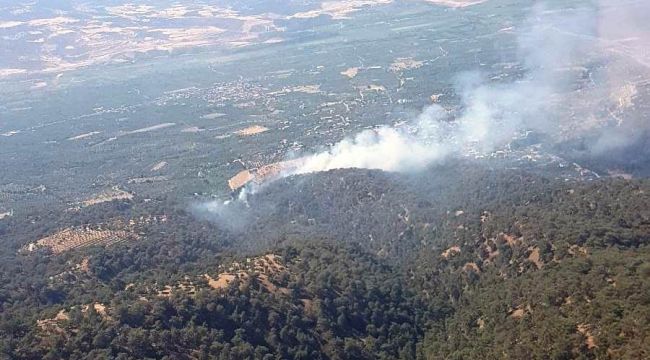 Nazilli'de yangın söndürme çalışmaları sürüyor