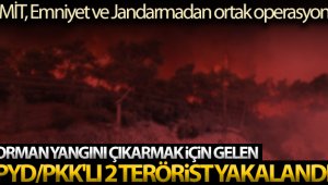 Orman yakmaya gelen PYD/PKK'lı 2 terörist yakalandı