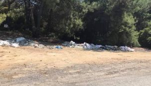 Ormanları çöplüğe çevirdiler! Ayıp ayıp