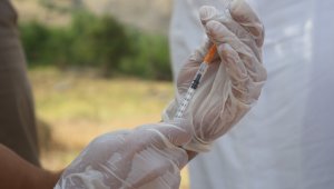 Sağlıkçılar, dağ-bayır, patikaları aşarak aşı yapıyor