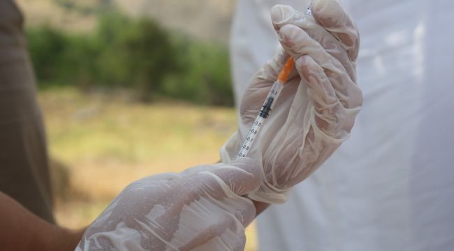 Sağlıkçılar, dağ-bayır, patikaları aşarak aşı yapıyor