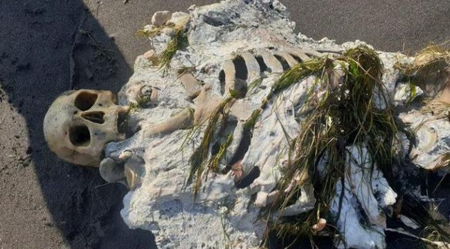 Sahilde yürüyüş yaparken iskelet gördüler