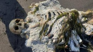 Sahilde yürüyüş yaparken iskelet gördüler