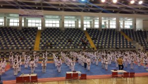 Şahin'den olimpiyatlarda Tekvando'yu en iyi şekilde temsil etme sözü