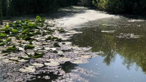 'Saklı cennet 'i besleyen dere siyaha büründü