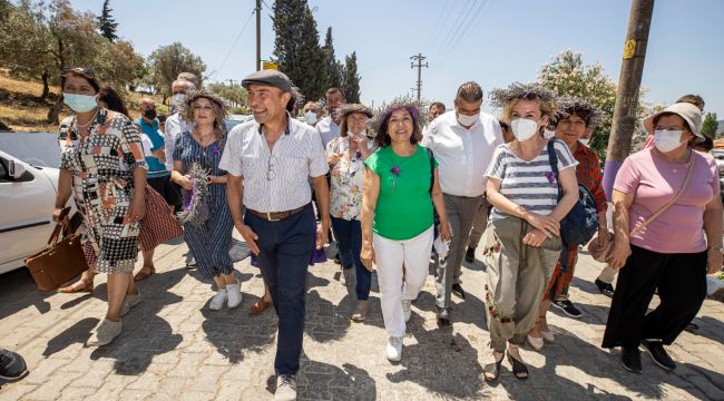 Seferihisar'da 'lavanta çiçeği' hasadı 