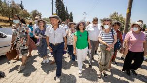 Seferihisar'da 'lavanta çiçeği' hasadı 