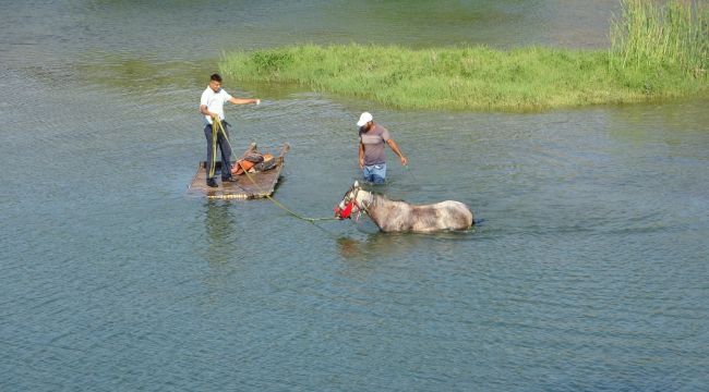 Sıcaktan bunalan atı nehirde serinlettiler